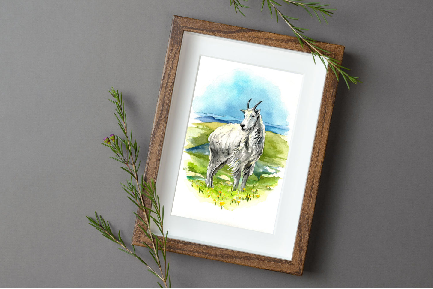Mountain Goat | Archival Watercolor Art Print - Emma H. Baldwin