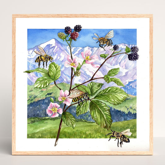 Blackberry Bees | Archival Watercolor Art Print - Emma H. Baldwin