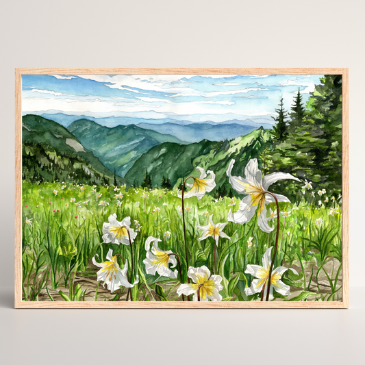 Tatoosh Wilderness | Archival Watercolor Art Print - Emma H. Baldwin