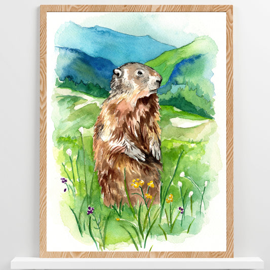 Marmot | Archival Watercolor Art Print - Emma H. Baldwin