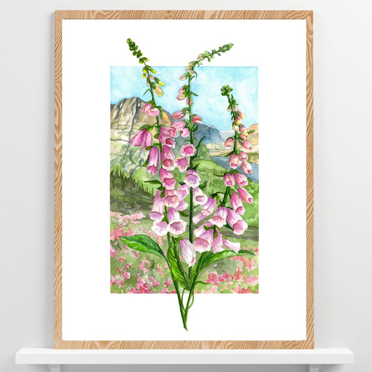 Foxglove in Bloom | Archival Watercolor Art Print - Emma H. Baldwin