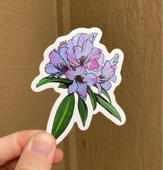 Coast Rhododendron 2x3 Sticker – Washington State Flower