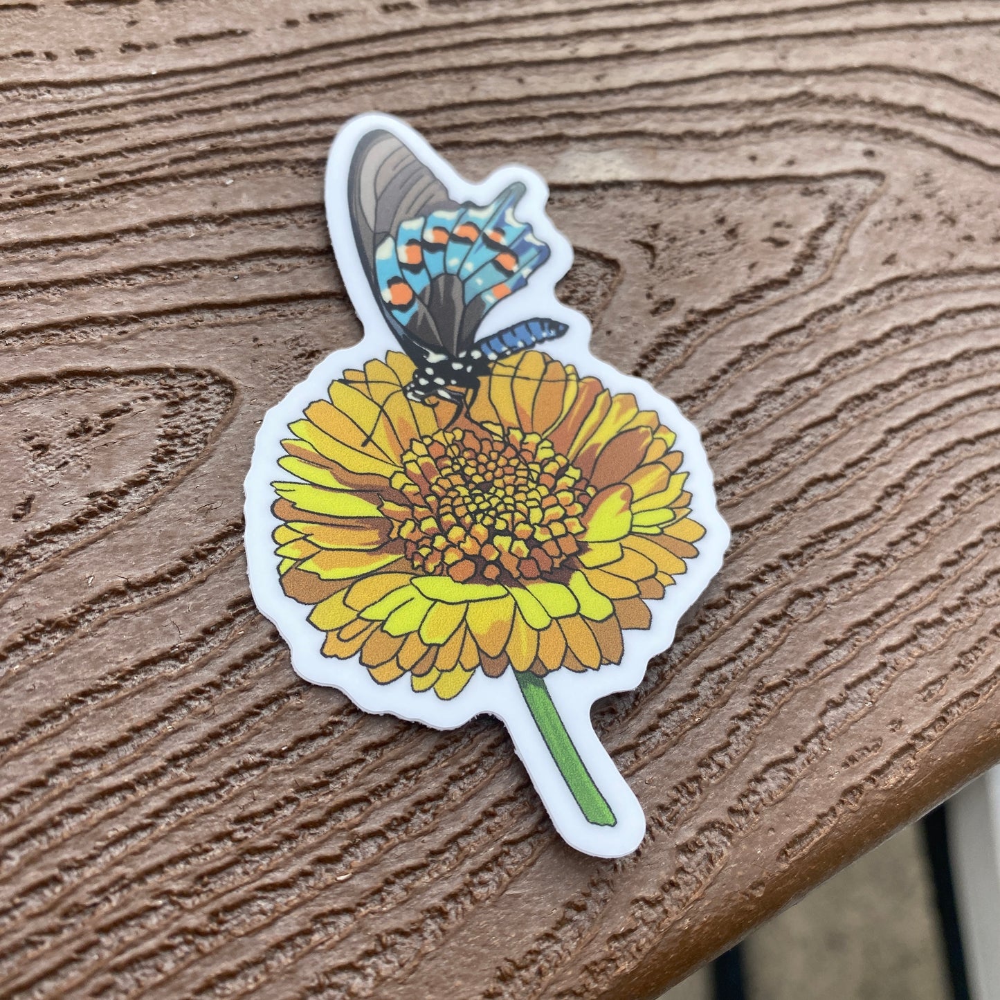 Desert Marigold and Pipevine Butterfly Sticker