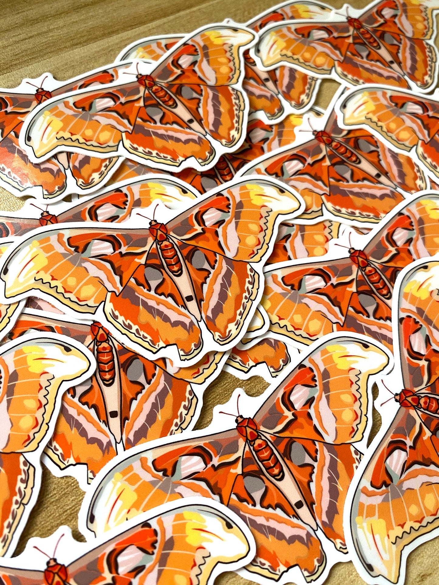 Atlas Moth Sticker - Waterproof Outdoor Use, UV resistant Decal