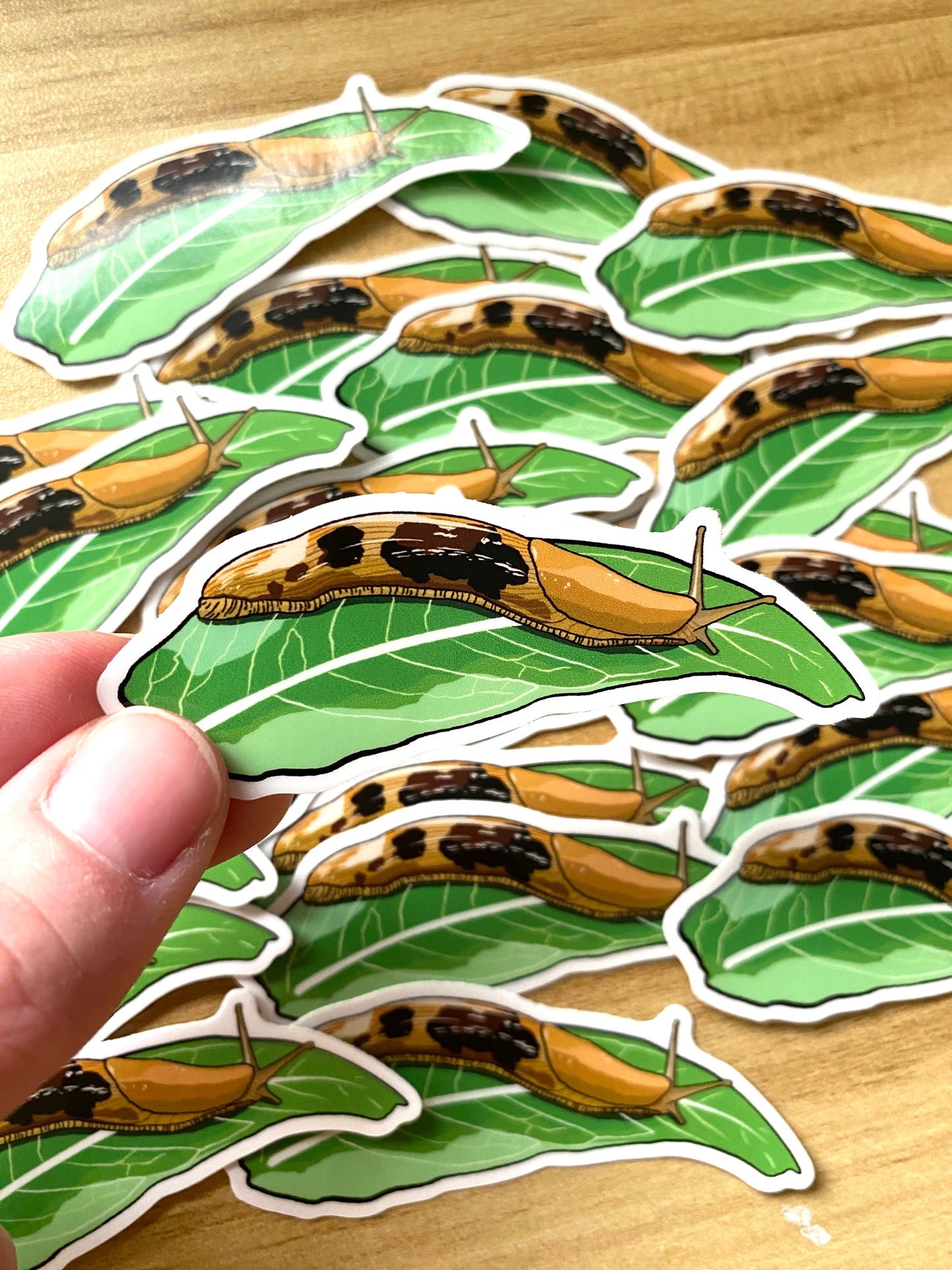 Banana Slug on Leaf Vinyl Decal, Waterproof Outdoor Use, UV resistant Decal