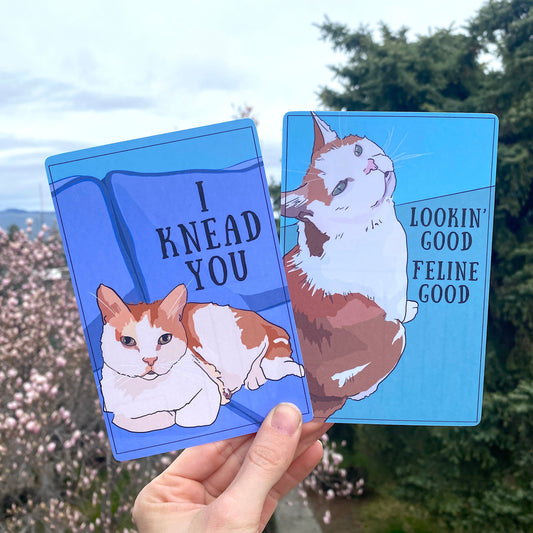 Anna's Postcards | Set of 2 Postcards