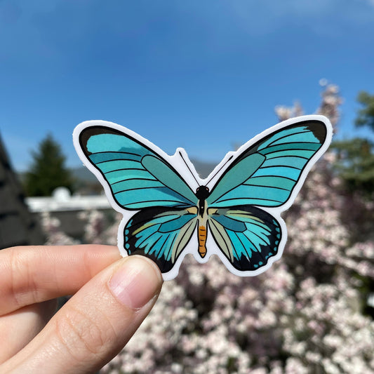 Teal Blue Butterfly Sticker