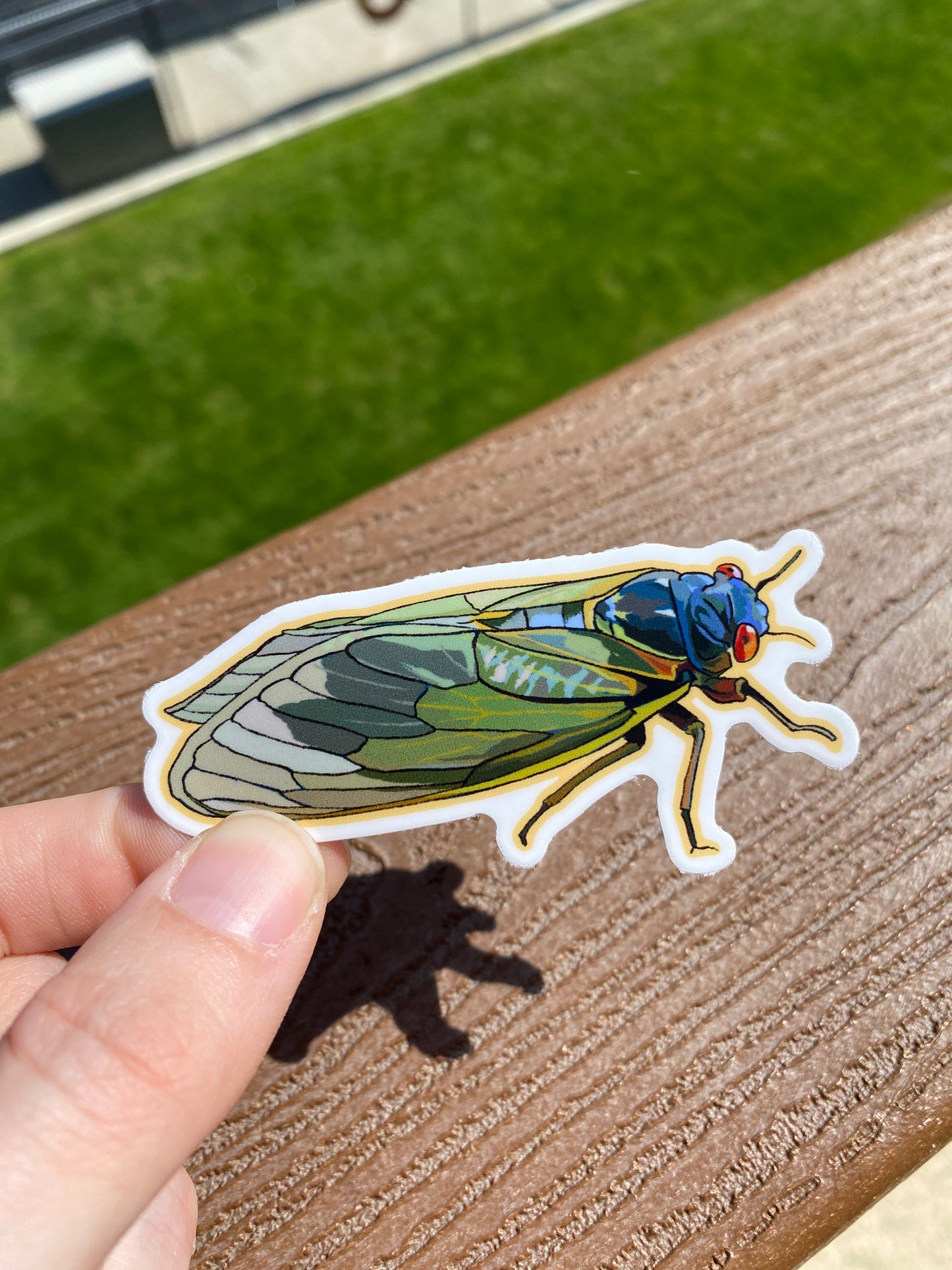 Cicada Waterproof Sticker
