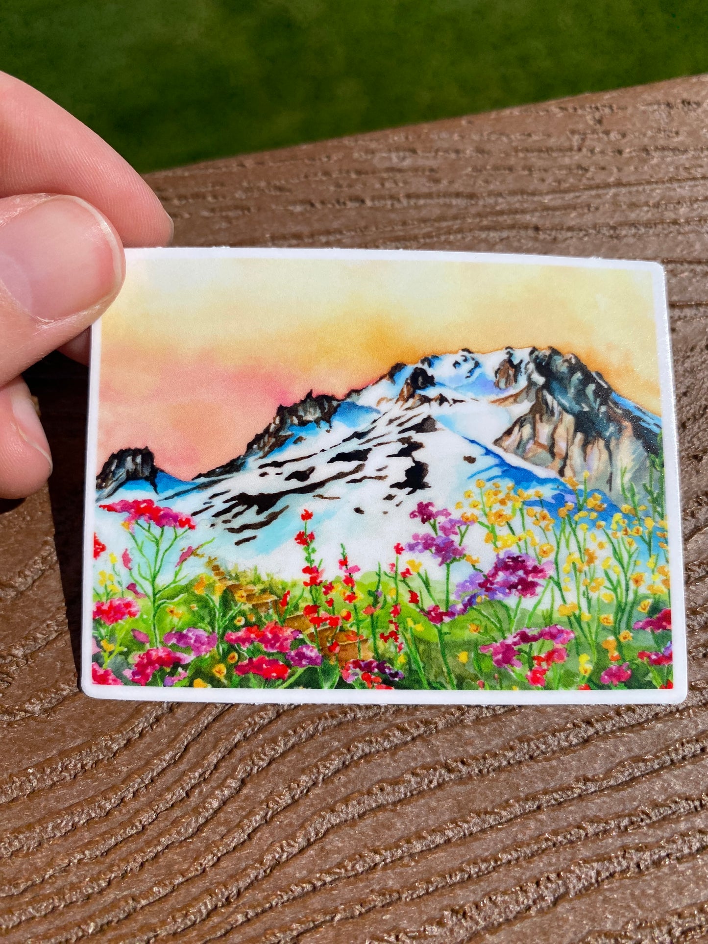 Mt. Hood Wildflowers | Watercolor Sticker