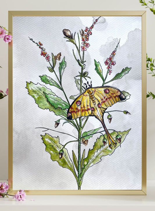 Luna Moth Floral Watercolor Print | Botanical Wall Art