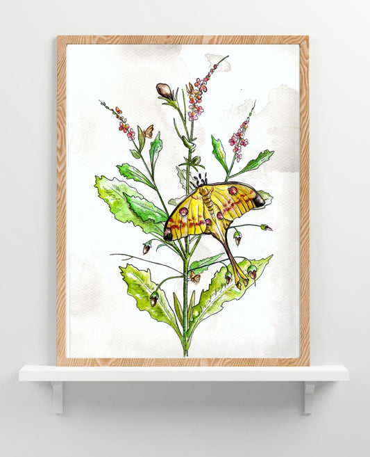 Luna Moth Botanical | Original Watercolor Painting