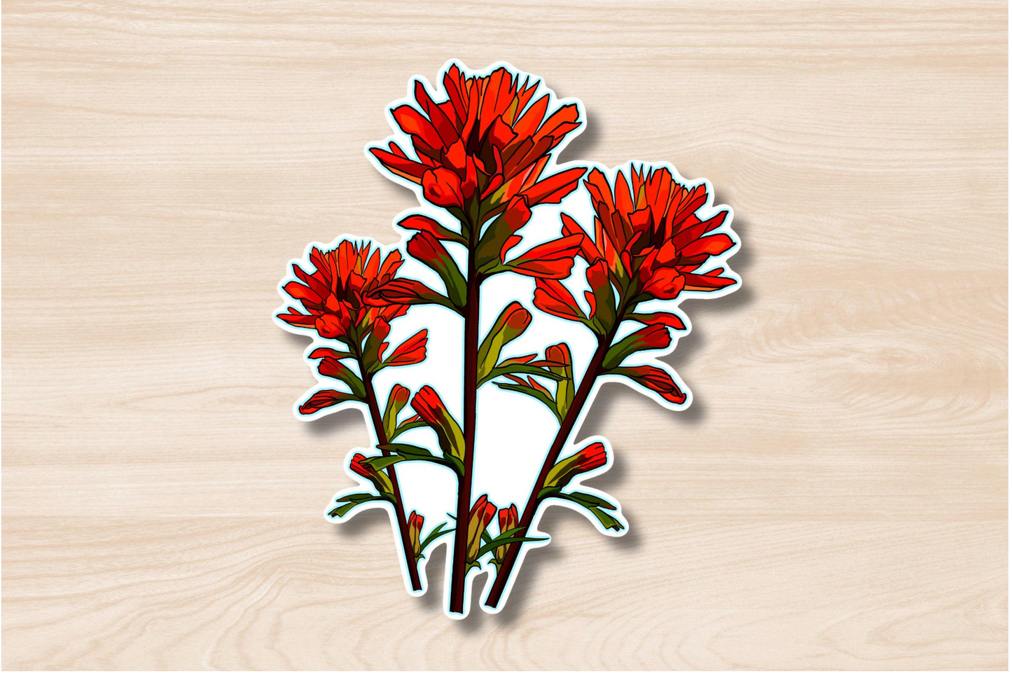 Indian Paintbrush Wildflower Sticker