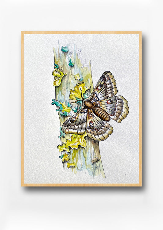 Moth on Moss-Covered Branch Watercolor Print | Botanical Wall Art