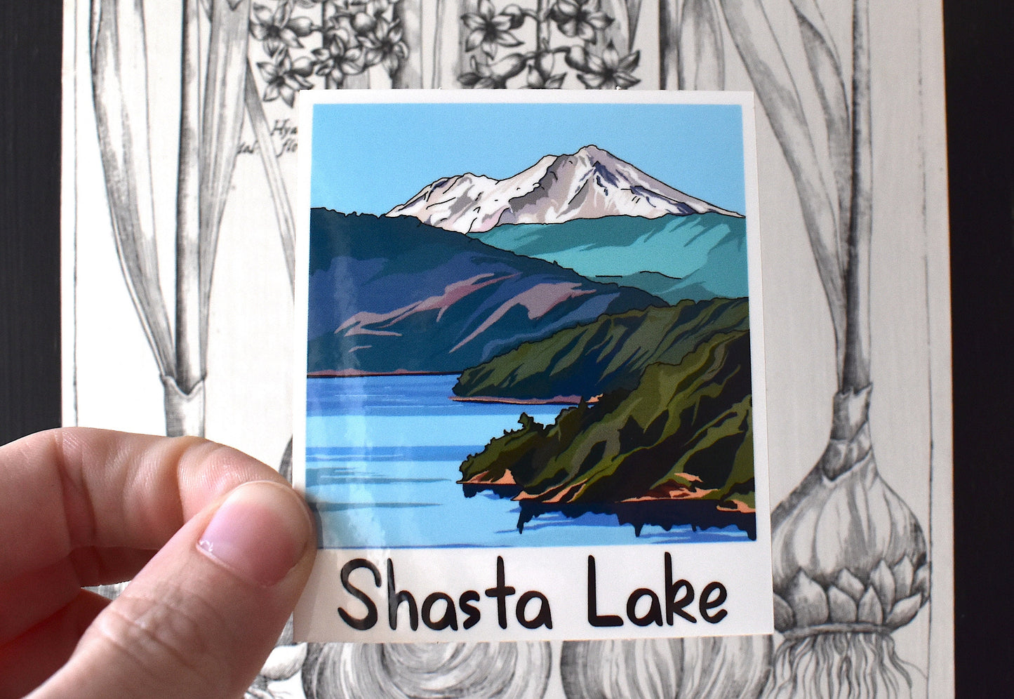 Shasta Lake sticker California | Mountain Decal