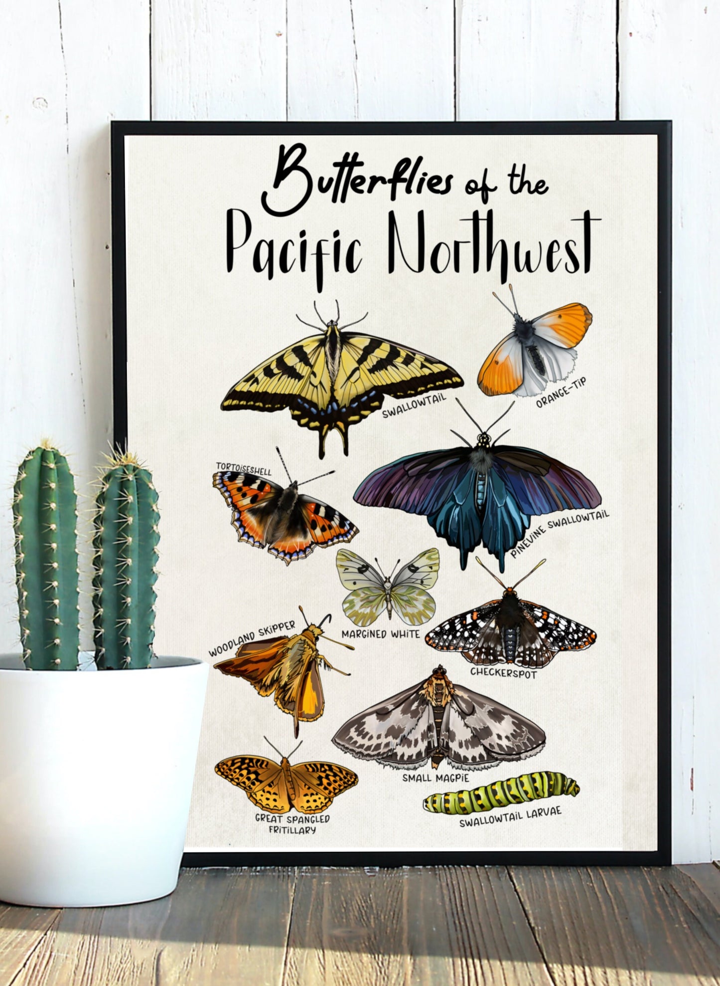 Pacific Northwest Butterflies | Botanical Art Poster