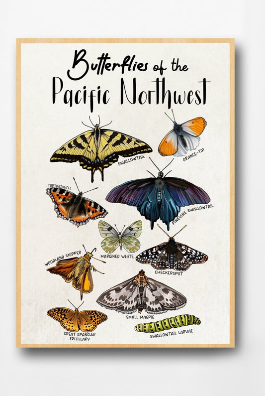 Pacific Northwest Butterflies | Botanical Art Poster