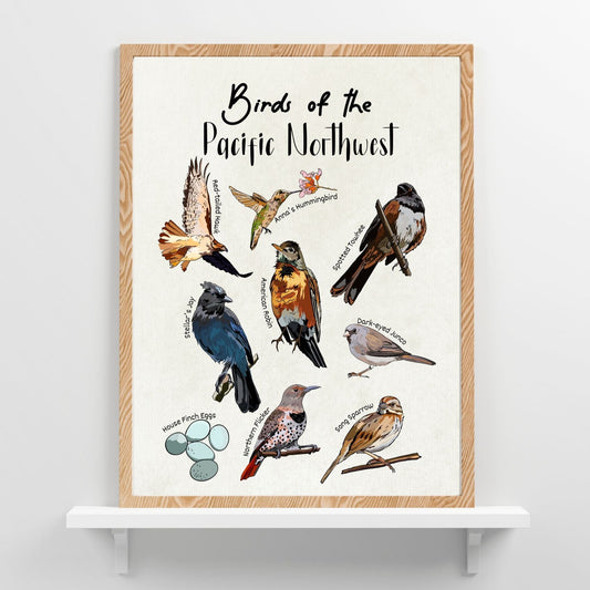 Pacific Northwest Birds | Botanical Art Poster