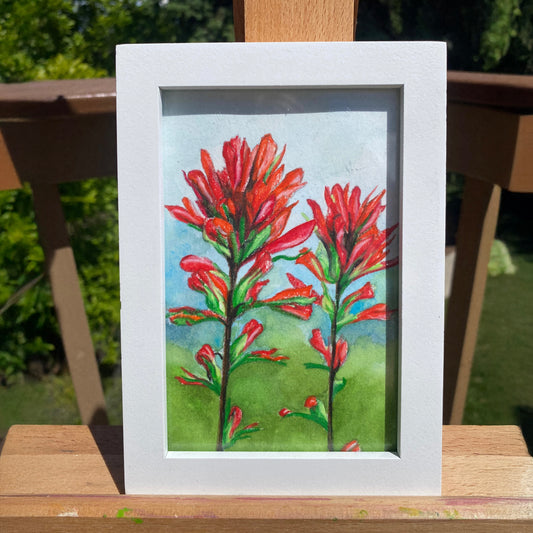 Indian Paintbrush | Framed Original Caran D'Ache Watercolor Crayon Painting