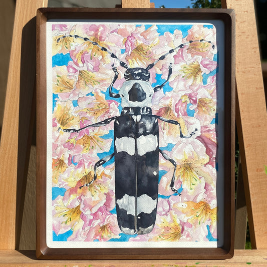 Alder Borer Beetle | Original Watercolor Painting - Wild Life Design Co.