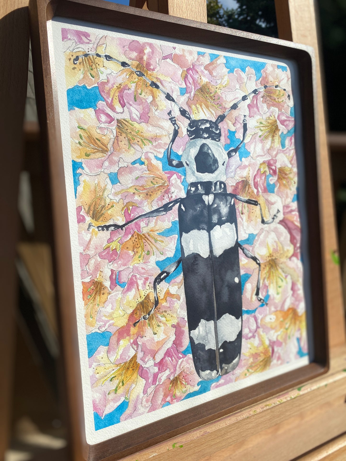 Alder Borer Beetle | Original Watercolor Painting - Emma H. Baldwin