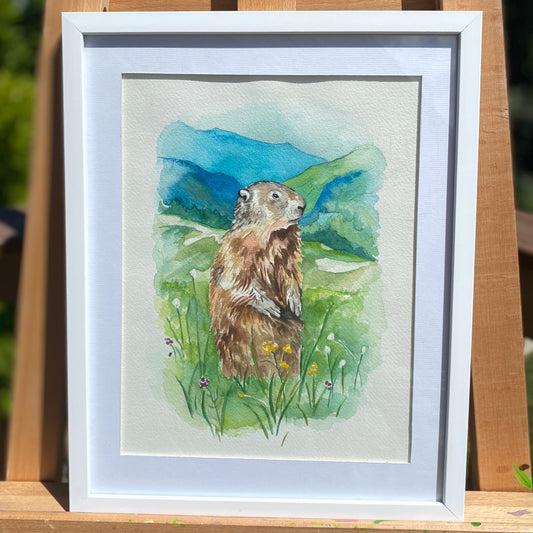Marmot | Framed Original Watercolor Painting