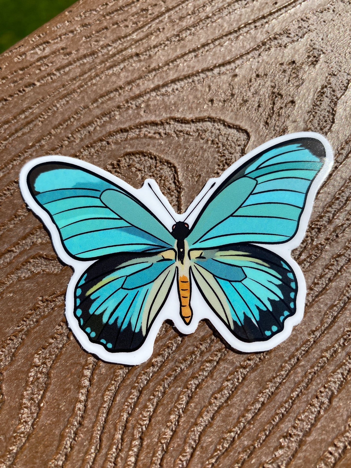 Teal Blue Butterfly Sticker