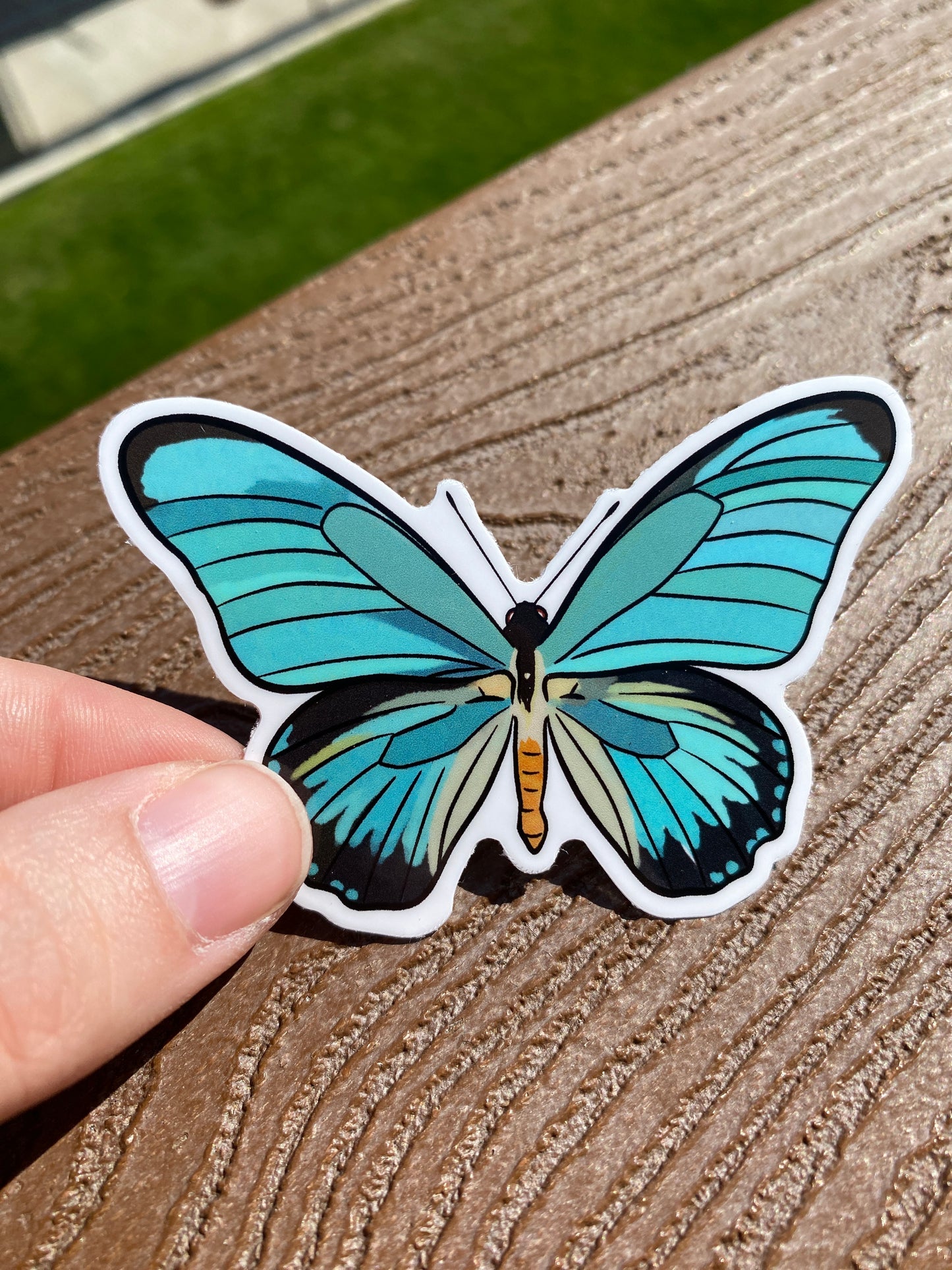 Teal Blue Butterfly Sticker