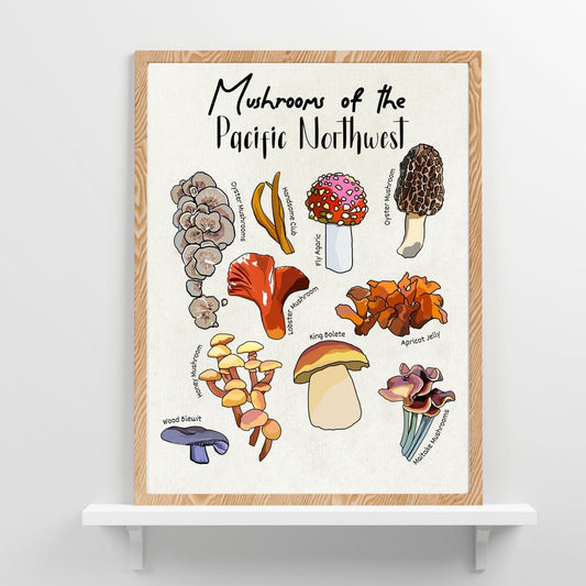 Pacific Northwest Mushrooms | Botanical Art Poster